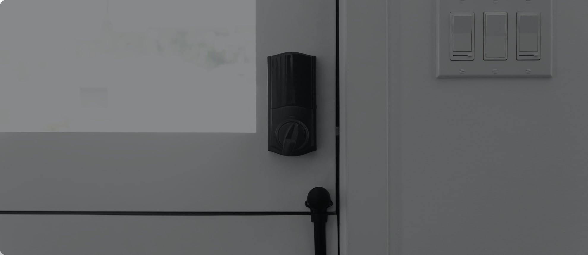 Vivint Smart Lock in Lexington