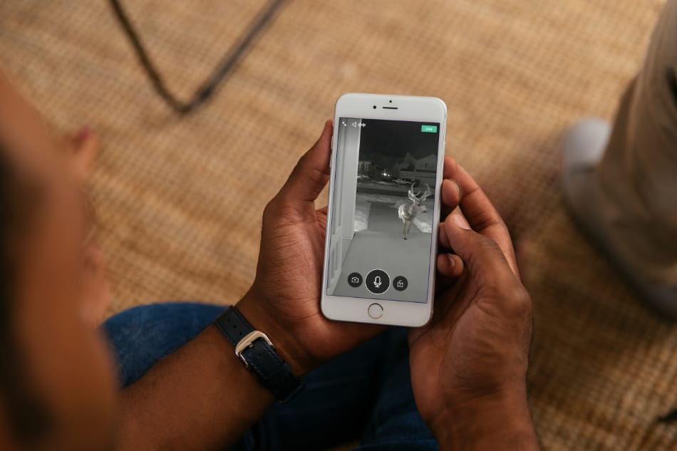 Nicholasville KY security system